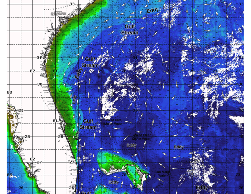 Southern Florida to Cape Hatteras Spring Season Preview 2021