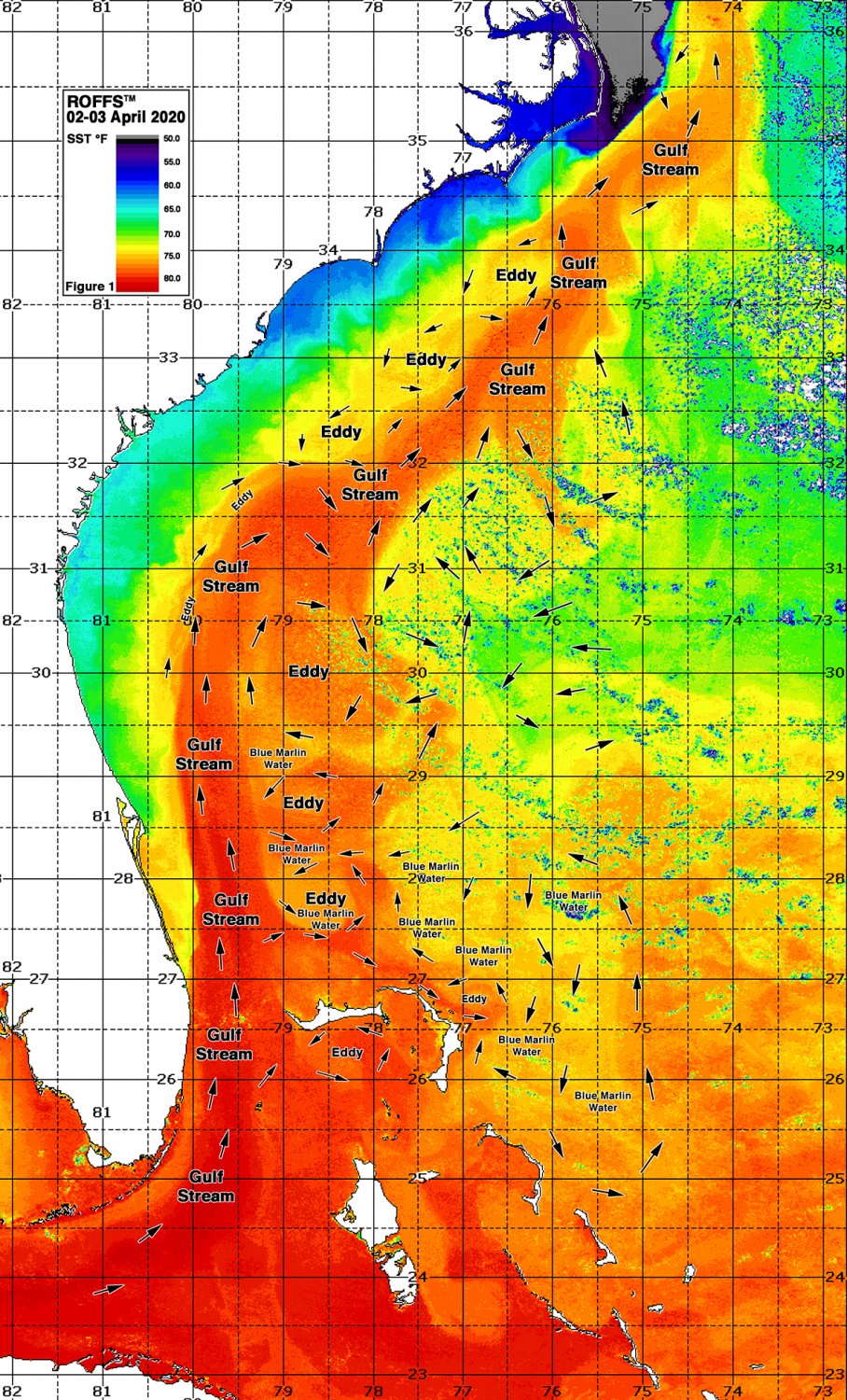 ROFFS™ Southern FL to Cape Hatteras Spring Season Preview 2020 UPDATE ON THE US EAST COAST GULF STREAM CONDITIONS