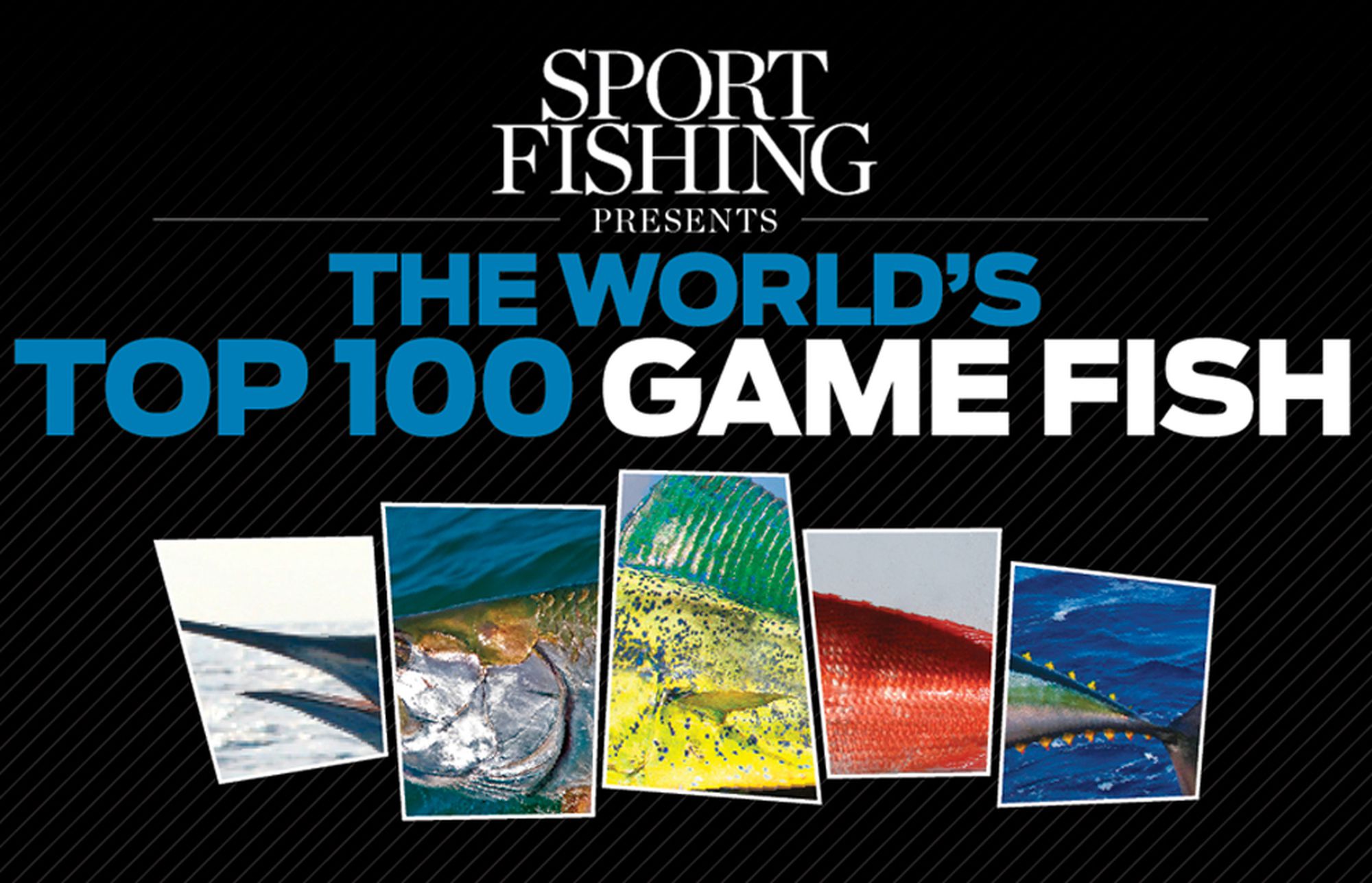 The World's Top 100 Game Fish - ROFFS™