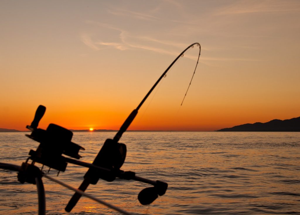 Top Ten Fishing Magazines - ROFFS™