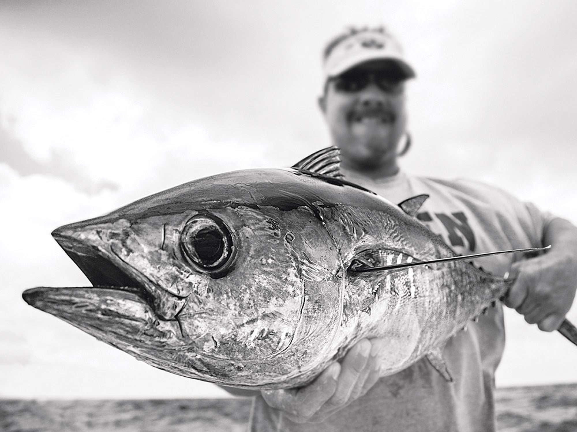 The Big Blackfin Tuna Search - ROFFS™