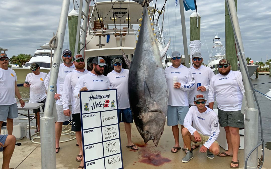 Giant Gulf Bluefin Steals The Show at Louisiana Billfish Tournament