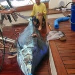2nd Place Blue Marlin Captain Patrick Ivie (Breathe Easy)