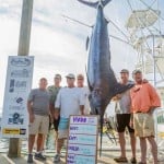 Hatteras Village Offshore Open (NC): 1st Place Billfish Division & 1st Place Blue Marlin Randy Hoft & Keith Henry (Cat Baby)