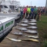 Tuna Fever puts tuna on the dock.
