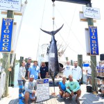 2017 Big Rock Blue Marlin Tournament (NC): 2nd Place Blue Marlin Captain Nathan Shepard & Ryan Howard (Rehab)