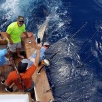 ROFFS™ clients Steven Matthews, Captain Shane Brafford and crew on Carolina Time. Atlantic Beach, NC - Carolina Time has gone 10-15 on Blue Marlin over the past 7 days.