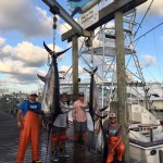 Capt. Mark DeCabia ( ROFFS™) client had a great offshore trip: 280 lbs. & 180 lbs. swordfish (lost another 100 lbs. fish), several yellowfin tuna and more than 200 lbs. of mahi.