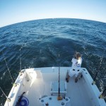 ROFFS™ Client Carl Frandino (Reel Keepher), HOT TUNA action in the Canyons out of Great Egg Inlet, NJ.