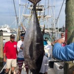 Congratulations to ROFFS™ Clients Samuel Kistler, Captain Corrigan Mello, Ryan Kane, Tim Sauer, Sandy Fisher & James Joyce (Sea Saw). Oak Bluffs Bluewater Classic (MA): 1st Place Biggest Tuna.