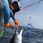 ROFFS™ Client Andrew Levinson (Seaflame) fished the canyons out of Indian River, DE.
“We went 2 for 2 on white marlin and seen one other, raised a blue marlin and caught a 53lb yellowfin.” First white marlin for the anglers...