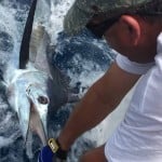 ROFFS™ Client Keith Toepfer (Top Shelf), from Gulfport MS last weekend, thank you for feedback and sharing your photo!
“Caught this marlin last Sunday open water temperature change line SW of South Pass. Could not have done it without the ROFFS™ and the trusty surface temp gauge.”