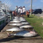 Tuna Fever, Oregon Inlet