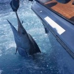 ROFFS™ Client A. Don Jolley (Jolley Roger) fishing off of Cat Island, Bahamas.