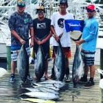 Congratulations to ROFFS™ Client Austin Ensor and Primary Search Gang! Ocean City Marlin Club 2018 Season Standings (MD): 1st Place Most Tuna Caught by a 28’ and Under Boat, 1st Place Heaviest Dolphin, 2nd Place Most Billfish Released by a 28’ and Under Boat & 3rd Place Most Tuna Caught by a Private Boat.
