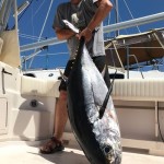 Nice catch for ROFFS™ Client Jonathan Pearse (Alexa Rae), Canyon trip out of Mystic CT.