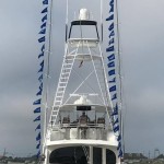 Congratulations to ROFFS™ Client Captain Ryan Higgins and Viking Yacht Company. They released 44 White Marlin on their overnight trip from Cape May, NJ.