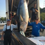 Talk about reeling in the big one, that's a tuna!! ROFFS™ client Jack Gardner, 90 inch 465 lbs, off Chatham.