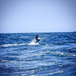 ROFFS™ Client Captain Gary Wyatt (Sola Fide) great photos from the South Carolina Governor’s Cup Billfishing Series.