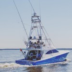 Congratulations to ROFFS™ Clients David Denbow & Captain Brad Schoenfeld (Amigo), Texas Billfish Classic: 2nd Place Overall, 2nd Place Top Angler, 1st Place Blue Marlin Pot & 3rd Place Billfish Release Division.