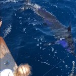 ROFFS™ Client Jim Johnston Jr. (Big Sky), Bill Church, Andy & Guilds Peace and Tucker Caines.
“Tuesday and Saturday last week. The two Georgetown Hole Analysis put the Big Sky on both of these Blue Marlin last week. Thanks for the help.”
Tucker caught his first Blue on Tuesday and Guilds caught her first Blue on Saturday.