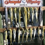 ROFFS™ Client Mike Hinze (Jumpin’ Monkey) offshore Destin, FL: “Quick little day trip!”