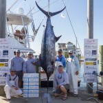 Congratulations to ROFFS™ Clients Brian Allen, Captain Gray Blount & Chris West (Wall Hanger). Hatteras Village Offshore Open (NC): 1st Place Level VI Daily Billfish Release Points Day 3 & 2nd Place Level VII Additional Biggest Blue Marlin.